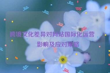 跨境文化差異對網(wǎng)站國際化運(yùn)營的影響及應(yīng)對策略