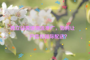 獨立站跨境物流推廣，如何讓用戶信任國際配送？
