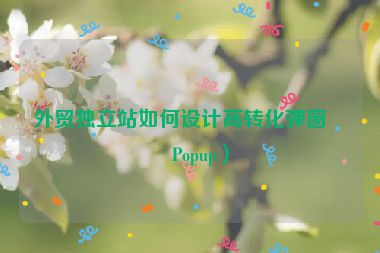 外貿(mào)獨(dú)立站如何設(shè)計(jì)高轉(zhuǎn)化彈窗（Popup）