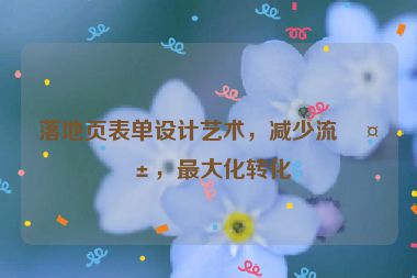落地頁表單設(shè)計(jì)藝術(shù)，減少流失，最大化轉(zhuǎn)化