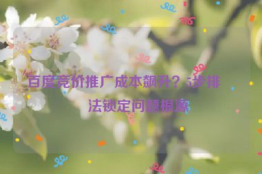 百度競(jìng)價(jià)推廣成本飆升？5步排查法鎖定問題根源