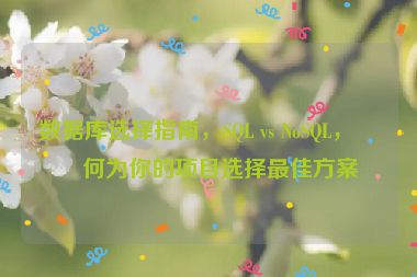 數(shù)據(jù)庫選擇指南，SQL vs NoSQL，如何為你的項目選擇最佳方案