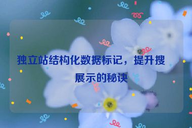 獨立站結(jié)構(gòu)化數(shù)據(jù)標(biāo)記，提升搜索展示的秘訣