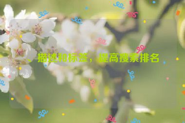 、描述和標(biāo)簽，提高搜索排名