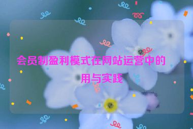 會(huì)員制盈利模式在網(wǎng)站運(yùn)營(yíng)中的應(yīng)用與實(shí)踐