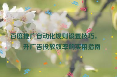 百度推廣自動(dòng)化規(guī)則設(shè)置技巧，提升廣告投放效率的實(shí)用指南