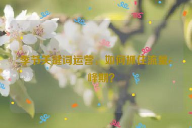 季節(jié)關(guān)鍵詞運營，如何抓住流量高峰期？