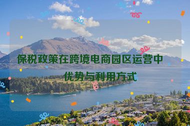 保稅政策在跨境電商園區(qū)運營中的優(yōu)勢與利用方式