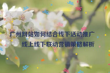 廣州網(wǎng)站如何結合線下活動推廣？線上線下聯(lián)動營銷策略解析