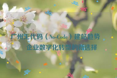 廣州無代碼（No-Code）建站趨勢，企業(yè)數(shù)字化轉(zhuǎn)型的新選擇