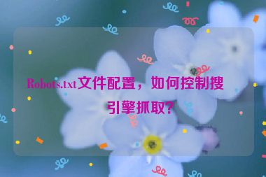 Robots.txt文件配置，如何控制搜索引擎抓?。? /></p>
<hr />
<h2 id=