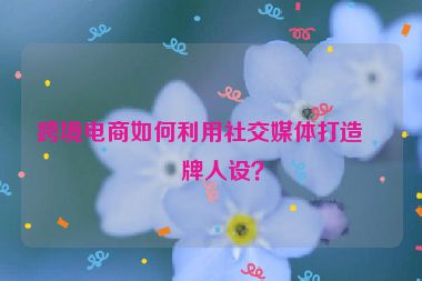 跨境電商如何利用社交媒體打造品牌人設(shè)？
