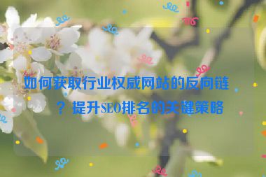 如何獲取行業(yè)權(quán)威網(wǎng)站的反向鏈接？提升SEO排名的關(guān)鍵策略