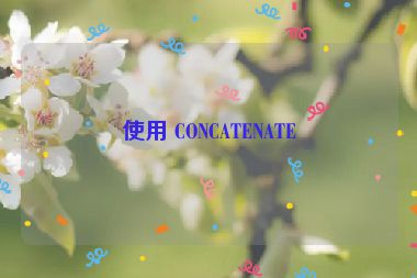 使用 CONCATENATE
